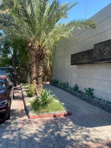 Φωτογραφία από το άλμπουμ του Palm Hotel στη Βαγδάτη