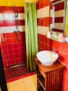 a bathroom with a sink and a shower at Hôtel les Bougainvilliers in Saint-Gilles les Bains +47 photos