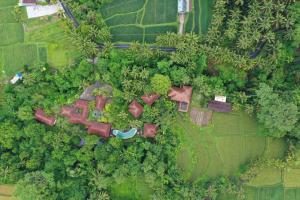 Elle offre une vue sur un jardin avec des arbres et des buissons. dans l'établissement BeingSattvaa Luxury Ubud - CHSE Certified, à Ubud
