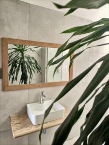 a bathroom with a sink and a mirror and a plant at La Mera Ocean-View, 2 Bedroom - Apartment with Pool and NEW renovated Art Style Rooms in Shanzu