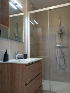 La salle de bains est pourvue d'un lavabo et d'une douche. dans l'établissement Bananec- Appt à 300 mètres de la plage, à La Forêt-Fouesnant
