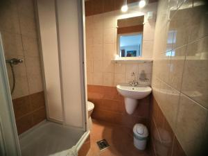 La salle de bains est pourvue d'un lavabo, de toilettes et d'une douche. dans l'établissement Oleander Vendégház, à Tihany