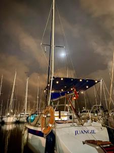 a group of boats docked in a harbor at night at Juangie Home in Valencia