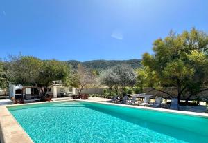 a swimming pool with chairs and trees in a yard at Villa Mimosa in Sant Josep de Sa Talaia