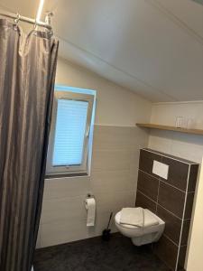 a bathroom with a toilet and a window at Ferienapartment Birkenhain in Wettringen