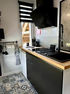 eine Küche mit einer Spüle und einem Herd Top-Backofen in der Unterkunft studio au cœur de la vannerie in Fayl-Billot