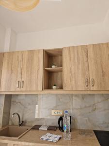a kitchen counter with wooden cabinets and a bottle of water at Christina Studios in Kefalos