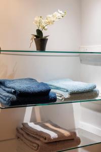 two glass shelves with towels and a potted plant at Domaine Evasion in Ittlenheim +20 photos