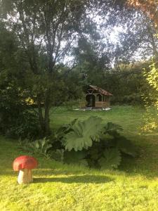 Ogród w obiekcie La Paix, Gîte bucolique en Normandie