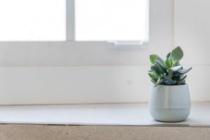 eine Pflanze in einer weißen Vase, die auf einem Fensterbrett sitzt in der Unterkunft GuestReady - Modern luxe getaway in Vitória in Porto