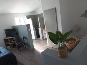 グリュイッサンにあるJolie Maison au centre du villageのリビングルーム(鉢植えの植物付)