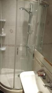uma casa de banho com um chuveiro, um WC e um lavatório. em Maison sur 3 étages, proche de Disneyland em Jouarre