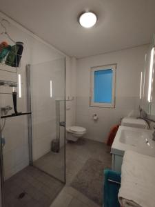 a bathroom with a shower and a toilet and a sink at CROWN LIVING Design Apartment - gratis Parkplatz - WLan - Küche - Self Check-in in Altach