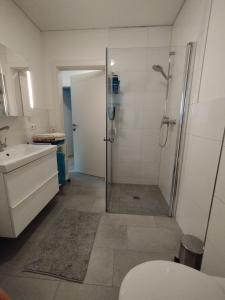 y baño con ducha, aseo y lavamanos. en CROWN LIVING Design Apartment - gratis Parkplatz - WLan - Küche - Self Check-in, en Altach