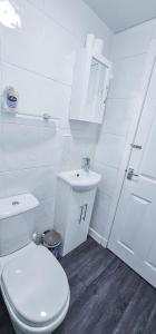 La salle de bains blanche est pourvue de toilettes et d'un lavabo. dans l'établissement Lovat 2 Bedroom Apartment - Inverness, à Inverness
