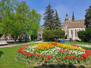 a garden of flowers in front of a building at LUX 114 APARTMENT in Košice