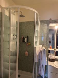 une salle de bain avec douche et lavabo dans l'établissement Joli appartement avec vue sur la Tour Eiffel, à Villejuif