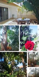 a collage of photos with a table and trees at Garden Art in Pervolia
