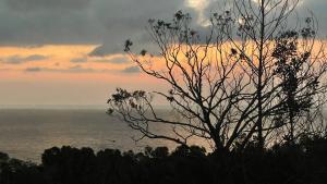 uma árvore em frente ao oceano ao pôr do sol em The wooden house has a beautiful sunrise & seaview em Phu Quoc