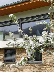 a tree with white flowers in front of a window at Ferienhaus Raich in Vandans