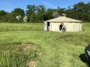 2 personnes debout dans une tente dans un champ dans l'établissement Vigo Retreat Yurt, à Wrotham