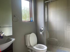 La salle de bains est pourvue de toilettes, d'un lavabo et d'une douche. dans l'établissement Jade Mountain Cottage 玉山小屋, à White River
