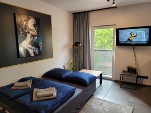 um quarto com 2 camas e uma televisão de ecrã plano em Maxx Grey em Bielsko-Biala