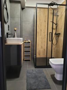 een badkamer met een wastafel, een douche en een toilet bij Maxx Grey in Bielsko-Biala