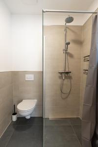 een badkamer met een toilet en een douche bij Moderne & Familienfreundliche Ferienwohnung am Goitzschesee in Pouch