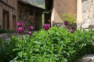 Vonkajšia záhrada v ubytovaní Hotel Rural Abejaruco
