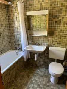 La salle de bains est pourvue de toilettes, d'un lavabo et d'une baignoire. dans l'établissement Chalet Claire, à Bürchen