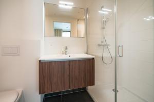 Un baño con lavabo y ducha en Opera Square Apartments in Antwerp Centre, en Amberes