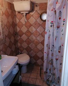 a bathroom with a toilet and a shower curtain at Casa di Olly - Loft incantevole con camino in Ponticelli