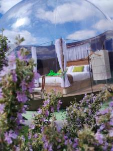 ein Schlafzimmer in einer Kuppel mit einem Bett und Blumen in der Unterkunft COSMOVEROS, Bubble Experience in Pedraza