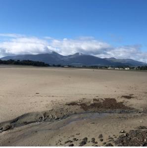 a sandy beach with a puddle in the sand at Oyster Bay Holiday Apartment Dundrum in Dundrum