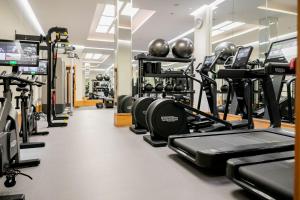Fitness centrum a/nebo fitness zařízení v ubytování The Connaught, Maybourne