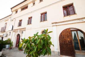 a white building with a tree in front of it at Lo Sparviero in Gerace