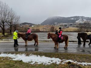 um grupo de pessoas andando a cavalo em uma estrada em Orheimstunet - Gårdsferie for storfamilien der også hunden er velkommen em Orhejm