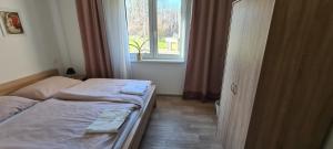 1 dormitorio con 2 camas frente a una ventana en Apartmán u Toma, en Frýdlant nad Ostravicí