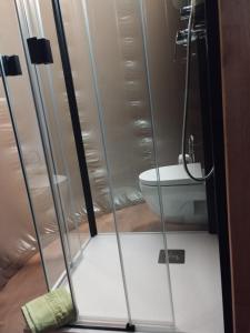 y baño con ducha de cristal y aseo. en COSMOVEROS, Bubble Experience, en Pedraza-Segovia