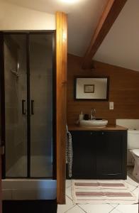 een badkamer met een glazen douche en een wastafel bij Gite de Pascal et Virginie in Ponet-et-Saint-Auban