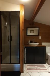 a bathroom with a glass shower and a sink at Gite de Pascal et Virginie in Ponet-et-Saint-Auban