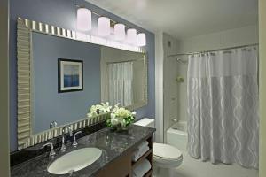 W łazience znajduje się umywalka, toaleta i lustro. w obiekcie Hyatt Regency Buffalo w mieście Buffalo