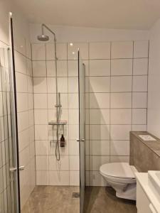 a bathroom with a shower and a toilet at MainStreet20 in Stykkishólmur