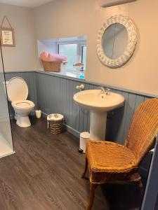 W łazience znajduje się umywalka, toaleta i lustro. w obiekcie Sparrows Nest Holiday Cottage w mieście Amroth