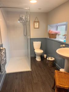 un bagno con doccia, WC e lavandino di Sparrows Nest Holiday Cottage ad Amroth Altre 10 foto