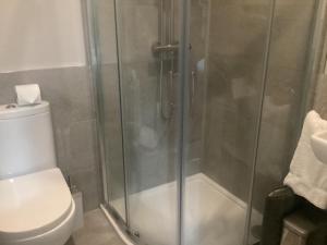 ein Bad mit einer Dusche und einem WC in der Unterkunft 4 Cois Glaisin View in Kilcarn