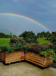 un arco iris sobre dos grandes plantadores de madera con plantas en Orheimstunet - Gårdsferie for storfamilien der også hunden er velkommen, en Orhejm