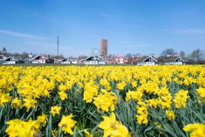Fotografie z fotogalerie ubytování Strandpark Sierksdorf H080 v destinaci Sierksdorf