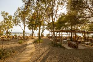 a path leading to a beach with tables and trees at Ergon Beach House Nikiti in Nikiti
